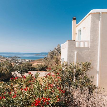 Villa Il Paradiso Andros Гаврион Экстерьер фото